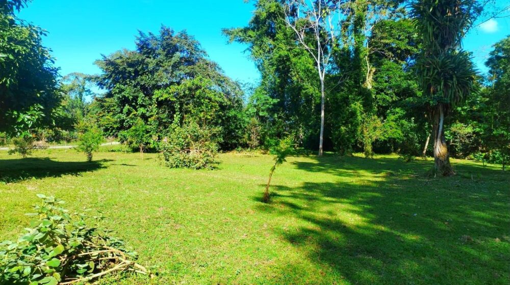 Quinta en Guapiles
