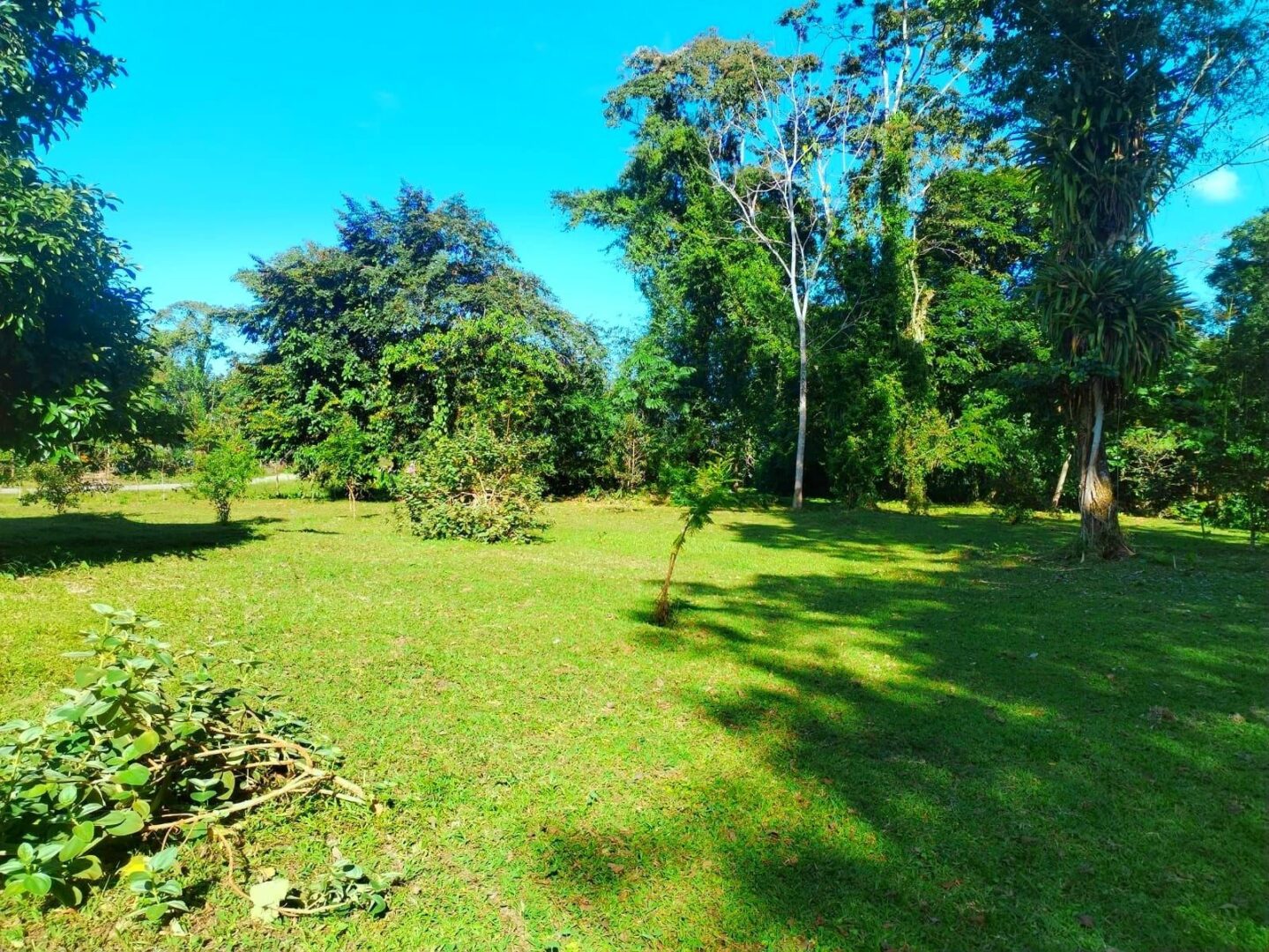 Quinta en Guapiles