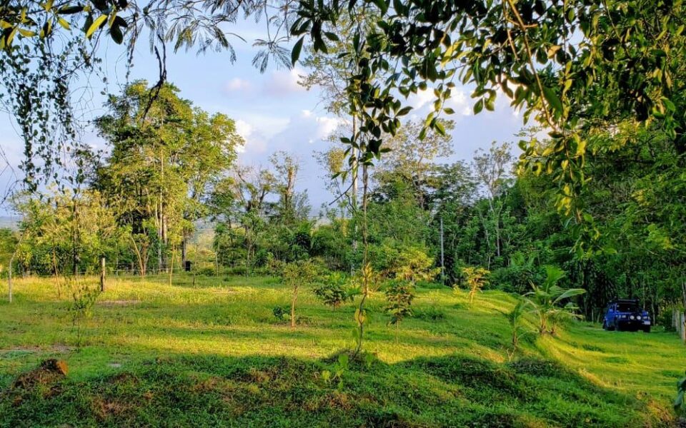 Sarapiqui Puerto Viejo