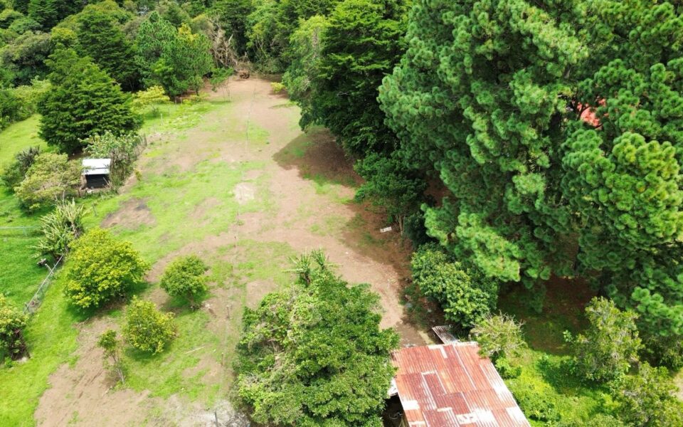 Monte de la Cruz