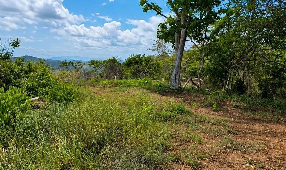 Guanacaste Tempate