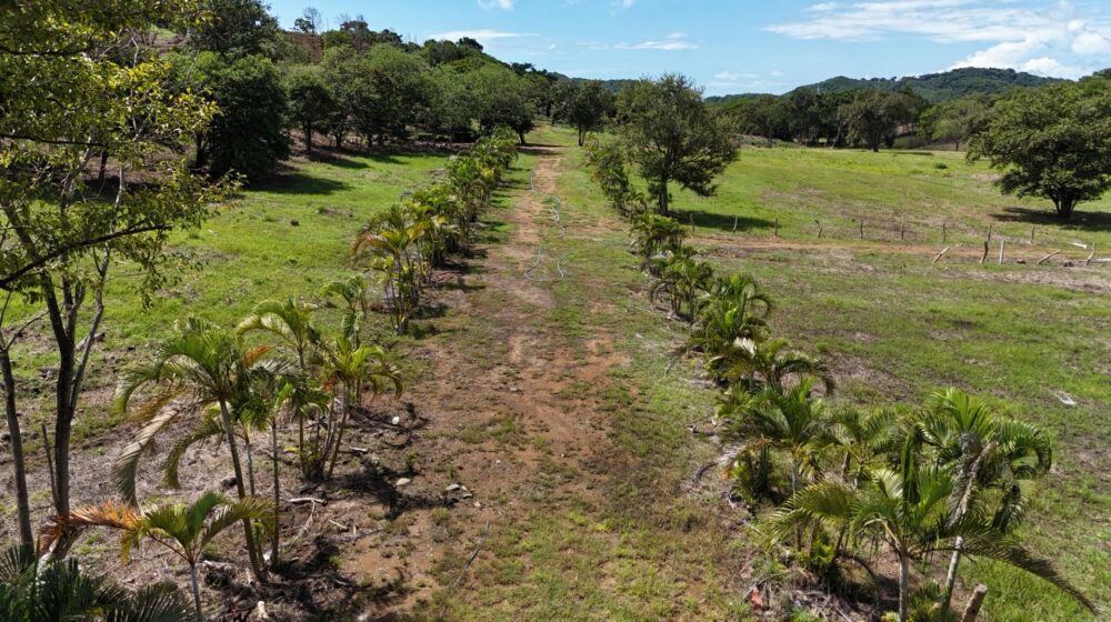 Se vende lote en Playa Copal, La Cruz de Guanacaste.
